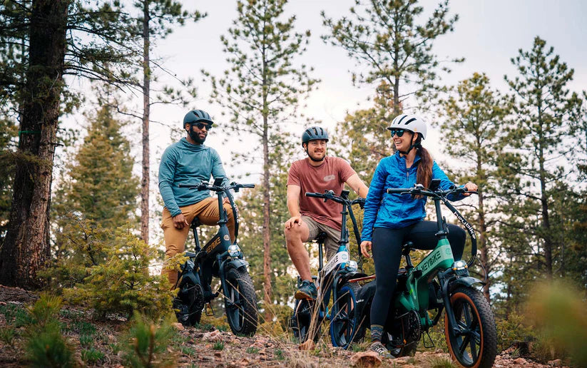 Folding 7-speed E-Bikes