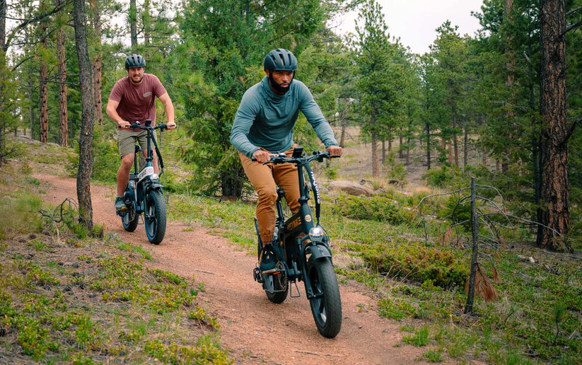 Folding 7-speed E-Bikes