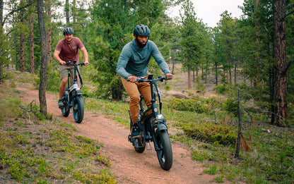 Folding 7-speed E-Bikes