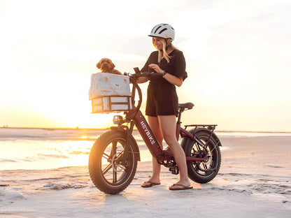 【🔥Big Sale🔥】Fat Tire E-Bike
